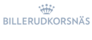 Billerud Korsnäs logo, kezzler partner.