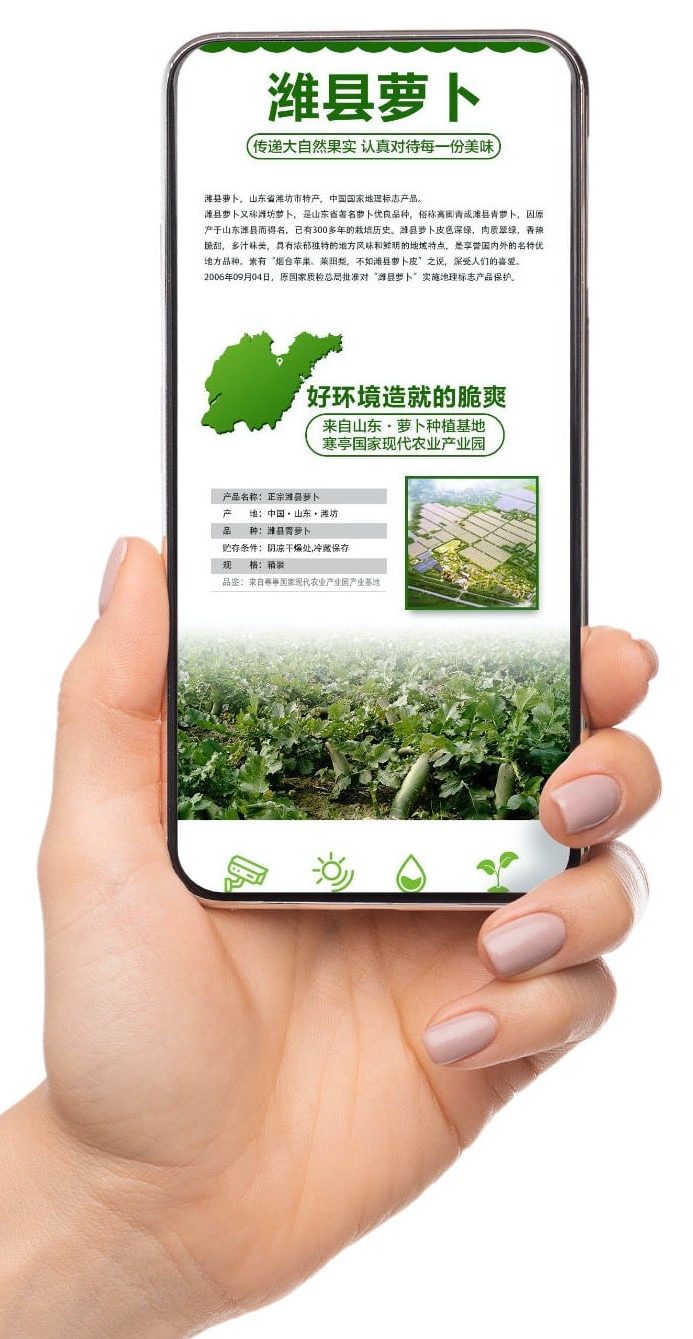 WeChat integration, food authentication for Runhui, China, Weixan radish, kezzler.